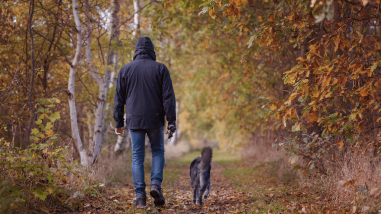 hund-guiden.se Gredelin